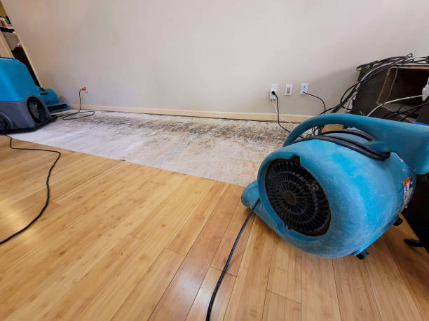 Professional Burst Pipe Water Damage technician working in Colgate, WI